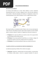 Guía de Nervios Perifericos