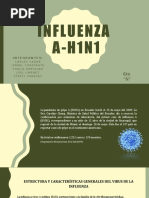 Influenza A - H1N1