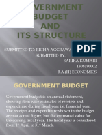 Government Budget