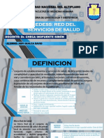 Seminario Redes de Salud PDF