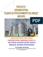 Proyectoplantadeprocesamientodearrozmolinoagroservicioscardenillo2050c 180724142323 PDF