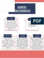 Agentes Teratogénicos PDF