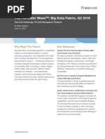 The Forrester Wave™ - Big Data Fabric Q2 2018 PDF