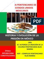 Sistemapenitenciariomexicano