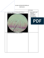 Sistem Pencernaan (Histologi) - 1