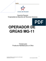 Operador de Gruas MG 11