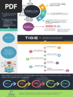 Solo Consulta Infografia PDF