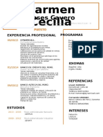 Modelo de Curriculum Vitae