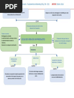 Mapa Del Ciclo de Vida de Un Producto