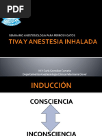 TIVA Y ANESTESIA INHALADA M.V. Carla González 2013 Presentacion