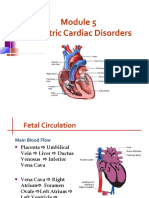 PP Cardiac