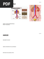 Trabajo Sistema Excretor PDF LISTO