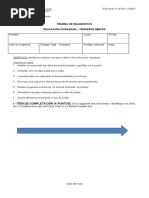 Prueba de Diagnóstico Educ Ciudadana