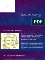 Ciclo Del Azufre