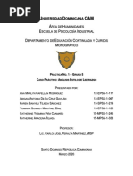 Práctica No. 1 - Caso Práctico (Análisis Estilo de Liderazgo)