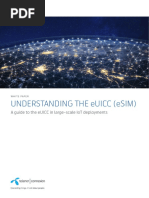 Whitepaper Understanding The eUICC PDF