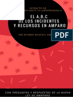 El Abc de Los Recursos e Incidentes en Amparo