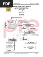 Investigacion de Los Tejidos