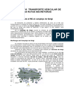 Capitulo VI. Transporte Vesicular de Las Rutas Secretoras