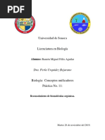 Practica Biomoleculas Ramon Felix