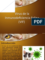 SIDA Felino y Leucemia Felina