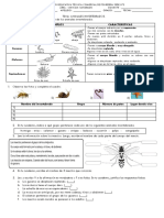 Animales Invertebrados