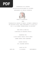 Elaboración de Papeles de Trabajo, Dictamen e Informe de Una Auditoría Fiscal, Dando Cumplimiento PDF