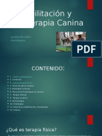 Rehabilitación y Fisioterapia Canina