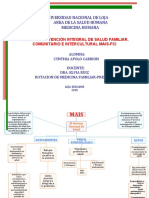 Mapa Conceptual Del MAIS