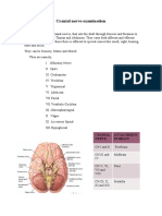 Cranial Nerve Examination