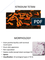 CLOSTRIDIUM TETANI Rashmi 777