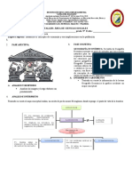 Taller CS Grado 9 Concepto de Eco