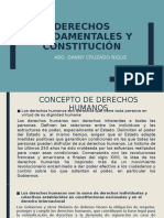 Derechos Fundamentales y Constitución