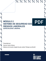 Módulo 2. Sistema de Seguridad Social en Riesgos Laborales PDF