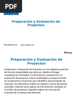 Preparación y Evalaucion de Proy Inacap - 2020