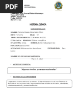 Historia Clinica Mujer Embarazada