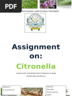 Assignment On:: Citronella