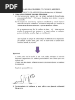 Ejercicios para Mejorar El Suelo Pélvico y El Abdomen