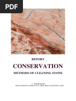 Conservation Report PDF