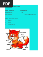 Bagian Utama Tubuh Hewan