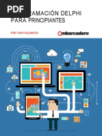 DelphiProgramming4Beginners Espanol PDF