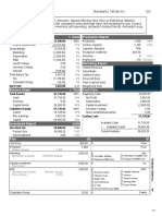 Company Report: Baideanu Talida Inc. Q0