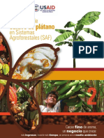 Cacao-Platano Usaid