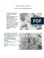 Microscopie Electronica Biologie Celulara