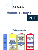 Black Belt Training - Module 1 - Day 3