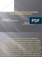 Hemograma-Leucemia Granulocitara Cronica