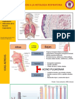 Histologia Respiratoria