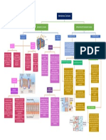 Mapa Conceptual Membrana