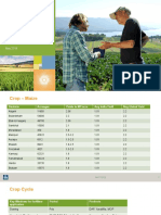 Crop Focus Meet-Maize Crop (UP)