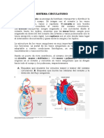 Sistema Circulatorio